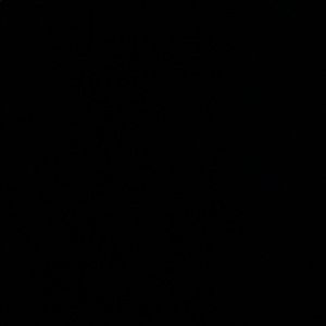 Meet your Posher, Marianne